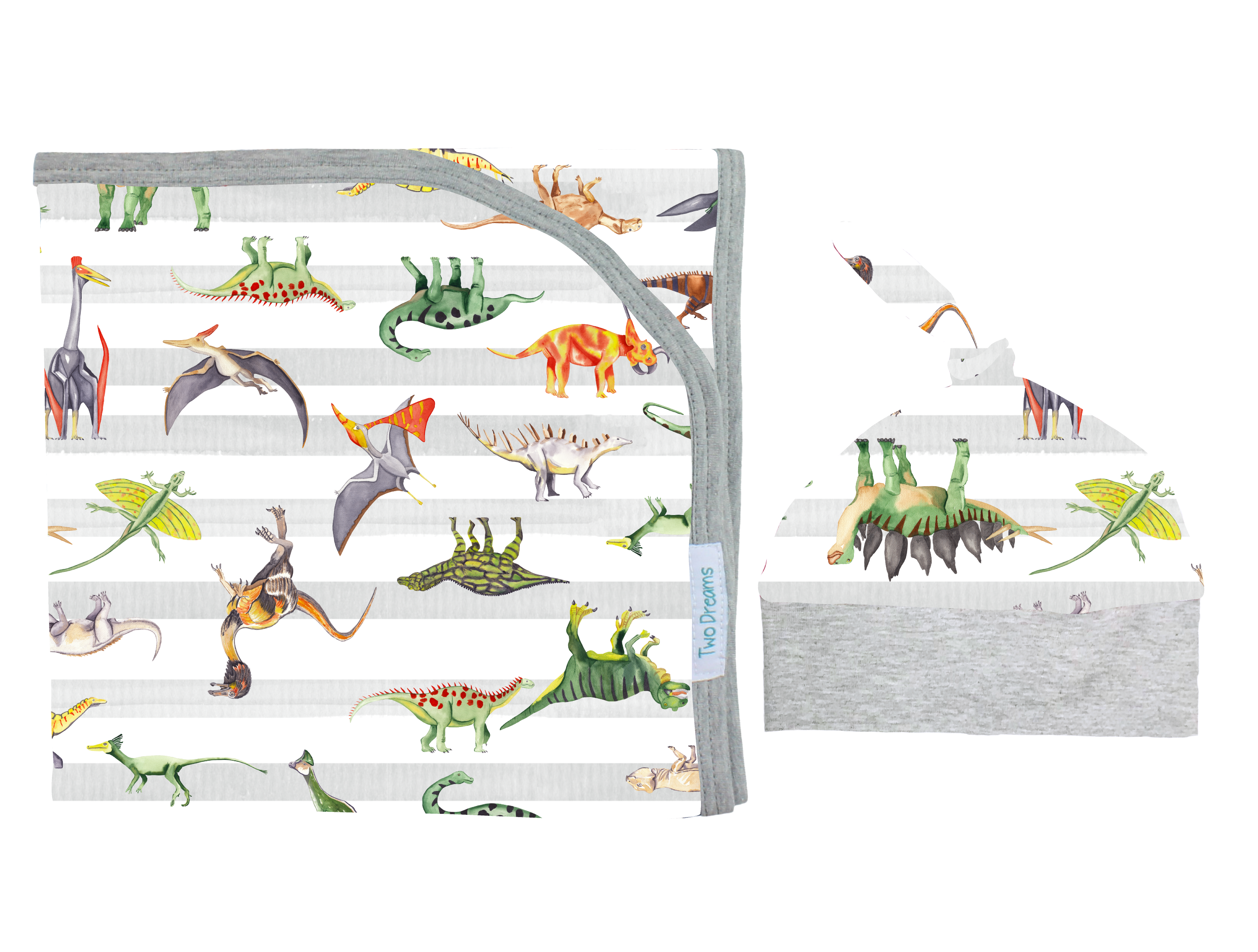 Dinosaur Baby Outfit