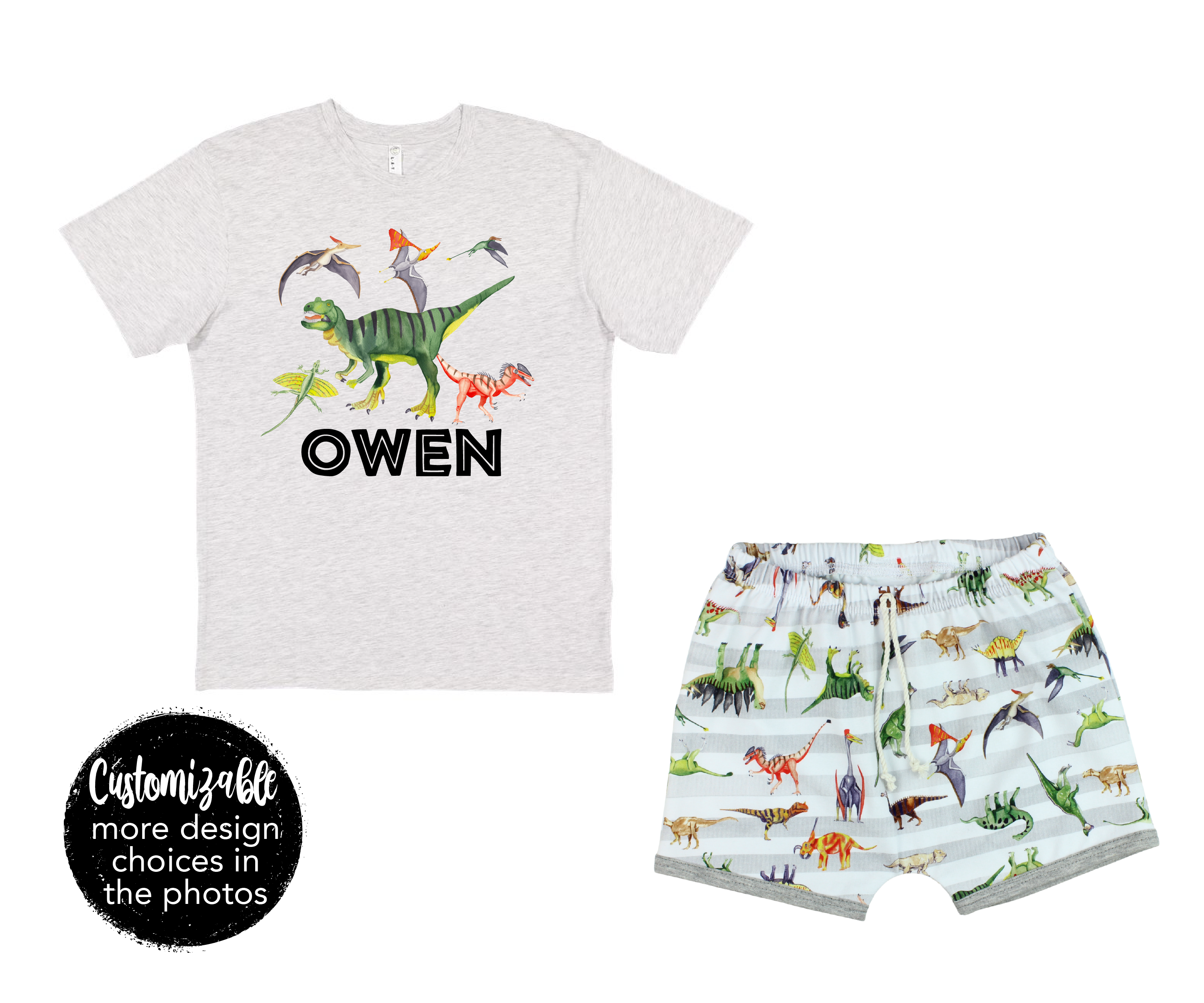 Boy Dinosaur Short Outfit Boy Dino Lover Summer Outfit